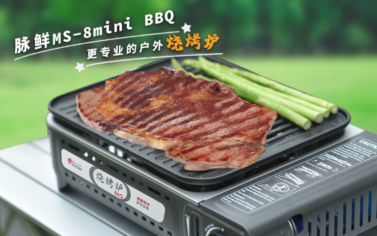 MS-8 mini BBQ